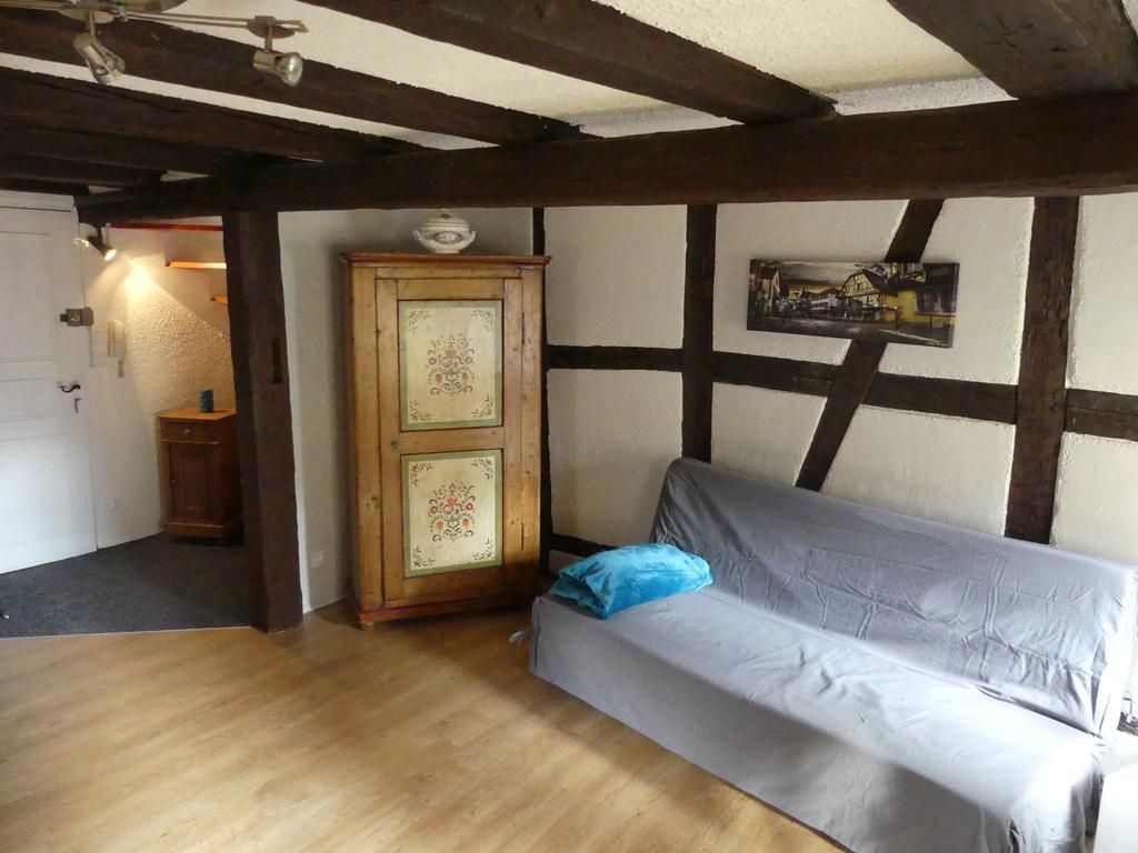 Appart Chaleureux Colmar Kültér fotó