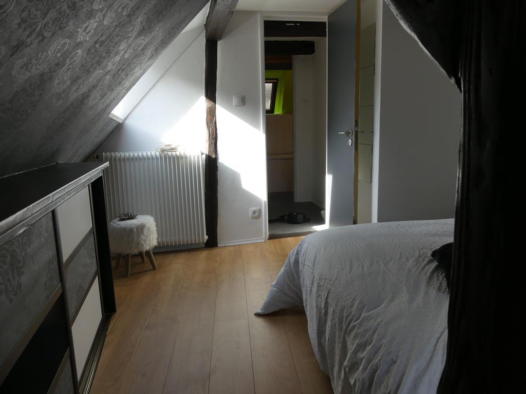 Appart Chaleureux Colmar Kültér fotó